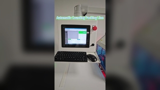 Otomatik Sayım Paketleme Hattı